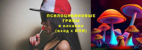 бошки Краснотурьинск