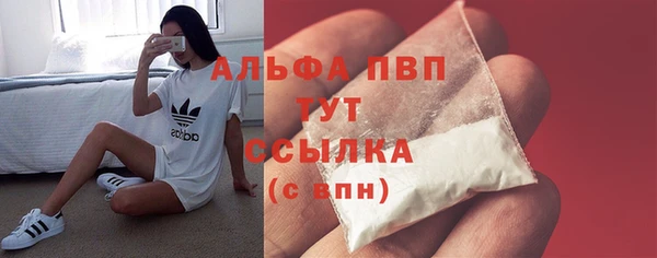 стаф Краснослободск