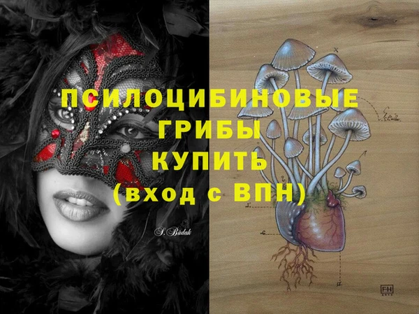 эйфоретик Красноперекопск