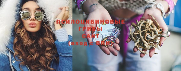 бошки Краснотурьинск