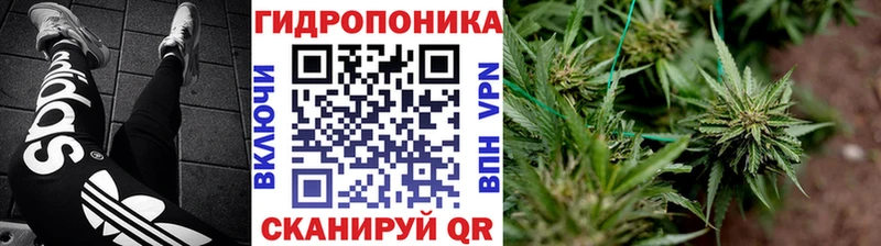 ссылка на мегу как зайти  Шумерля  Конопля тримм 